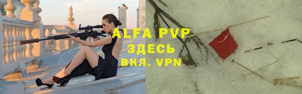 apvp Осташков
