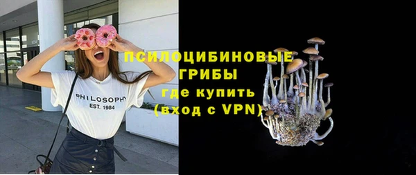 индика Абдулино