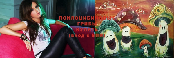тгк Абинск