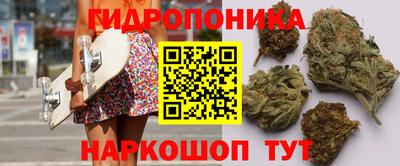 PSILOCYBIN Краснокаменск