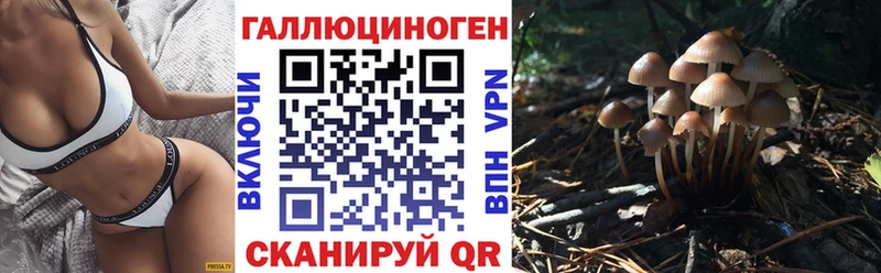 Псилоцибиновые грибы Cubensis  Сафоново 