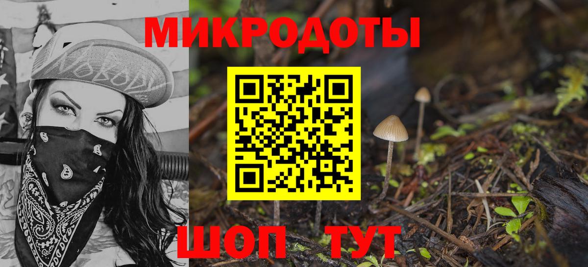 Псилоцибиновые грибы Cubensis  Псилоцибиновые грибы мицелий  Сафоново  Вход с VPN 