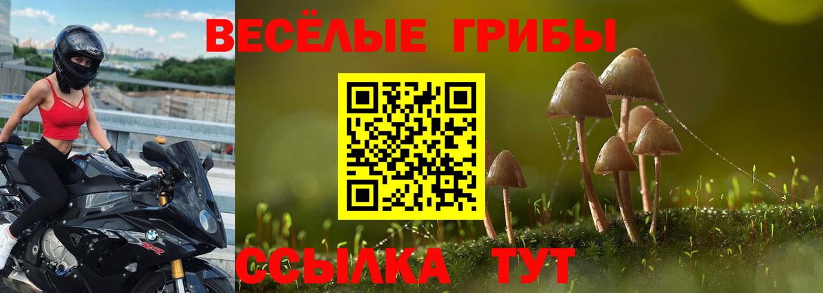 Лсд 25 Сафоново